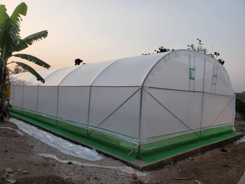 Smart  Greenhouse System